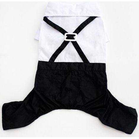 Traje de hombre con cuello brillante, gato, osito de peluche, cachorro, ropa, vestido de novia, camisa de dos piezas de imitación, esmoquin (XL) (1/5)