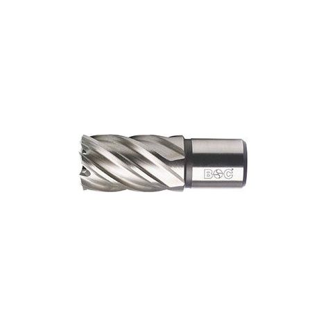 Bohrcraft 19510302325 - Bohrcraft Broca hueca HSS-E Co 8% Weldon//23,0 x 30 mm BC-QP