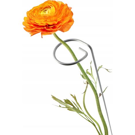 KADAX Supporto Supporto per Rose Fiori e Piante in Acciaio 60 cm (1/5)