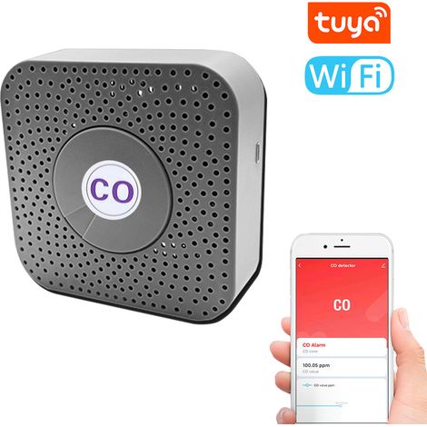 Détecteur CO Tuya WiFi portable, testeur de monoxyde de carbone multifonction, compteur concentration CO électrochimique, testeur qualité d’air domestique (1/5)