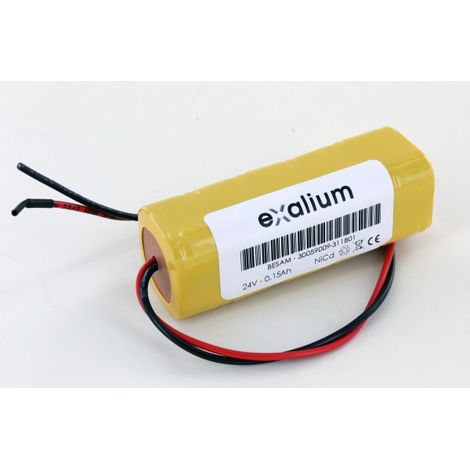 Batterie 24V 150mAh pour porte automatique Besam