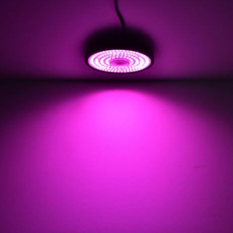 Vollspektrum LED Pflanzenlampe 100 W für Zimmerpflanzen, Sukkulenten und Blumen – rote und rosane Licht für optimale Photosynthese