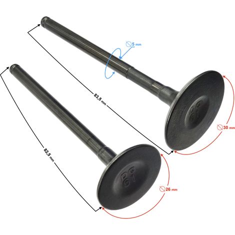 Soupapes pour la moto Blade 125 (1/2)