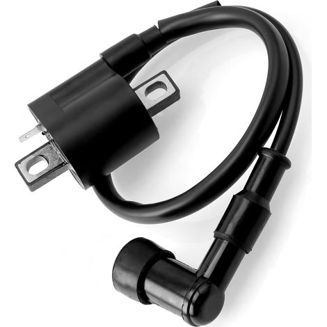 Bobine d'allumage – 50cc-250cc – Étanche – Robuste – Étincelles puissantes – Quad, moto, buggy – Installation directe – Fiable (1/4)