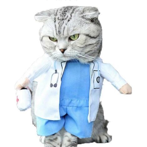 Ropa para mascotas, perro, médico, cambiando la ropa del gato (1/5)