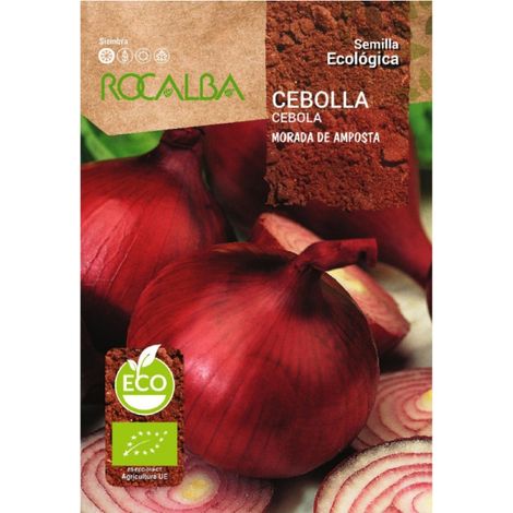 Rokalba -Samen Zwiebel von Amposta 25 g