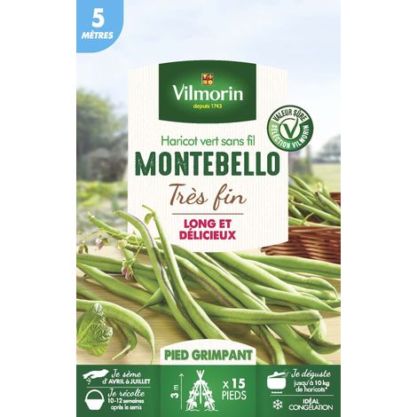 Vilmorin – Haricot grimpant vert Montebello – Gousses 20 cm – Semis de mars à juin – Récolte de juillet à septembre – Sachet pour 5 m