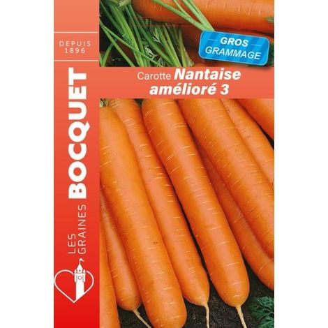 Carotte nantaise améliorée -3 gros grammage - 21g