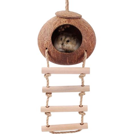 Escalera Para Hamsters - Escalera De Madera 25 Cm - Plataforma - Arco - Valla 12X8 Cm - Cúpula De Coco 8 Cm - Juego De 5 Piezas (1/5)