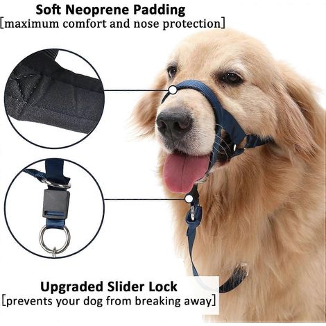 Harnais anti-traction BARKLESS pour chiens : facilitez l’éducation et les promenades. Doux et ajustable, il est doté d’un anneau de sécurité. Dites adieu aux tiraillements en laisse (1/5)