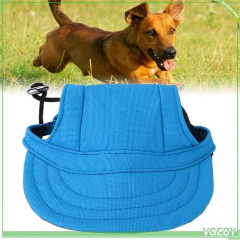Chapeau pour chien - FAFEICY - Casquette baseball L - Bleu - Réglable mentonnière - Trous d'oreille - Protection solaire (1/5)