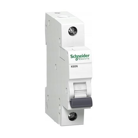 Interruptor automático de sobrecorriente K60N B 10A 1P 1M 6KA ACTI 9 A9K01110