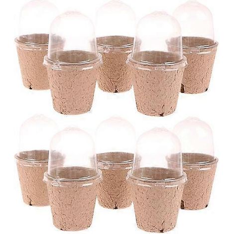 Lot de 10 pots de pépinière biodégradables avec trous de ventilation, couvercle transparent et jetables, pour la germination des fleurs. Idéal pour la maison.8 cm perforé (1/5)