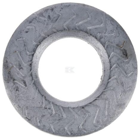 Rondella fascetta AGRIA AGW77308