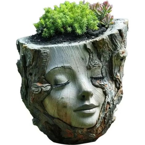 Ensemble de 5 pots à orchidées de 14,2 cm (5,6 pouces) avec trous de drainage