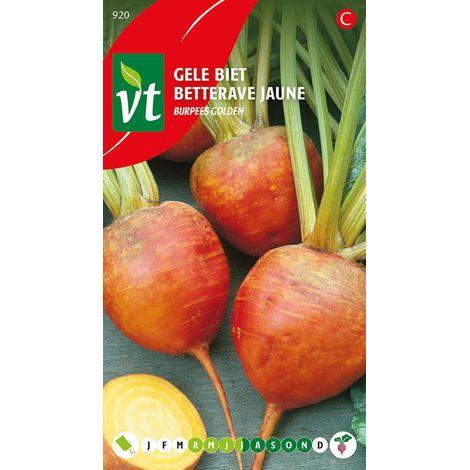 Betterave Jaune Burpees Golden - Ca. 2 gr (Livraison Gratuite) (1/2)