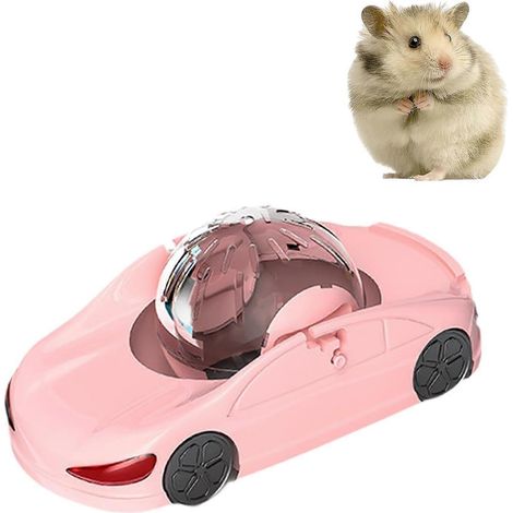 Voiture de sport pour hamster, balle de course pour hamster, roue d'exercice pour hamster (1/5)