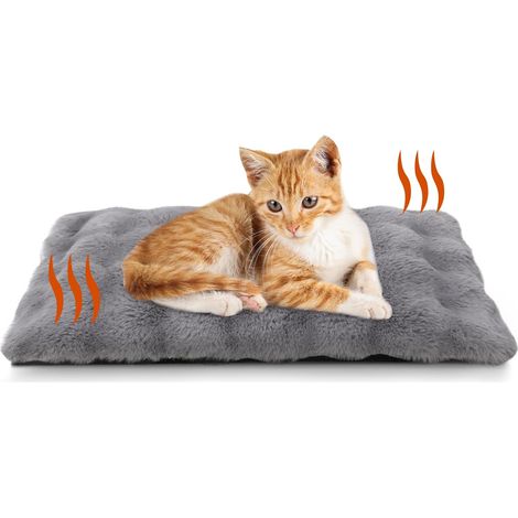 Coussin Auto Chauffant Chien Tapis Chauffant Chat (1/5)