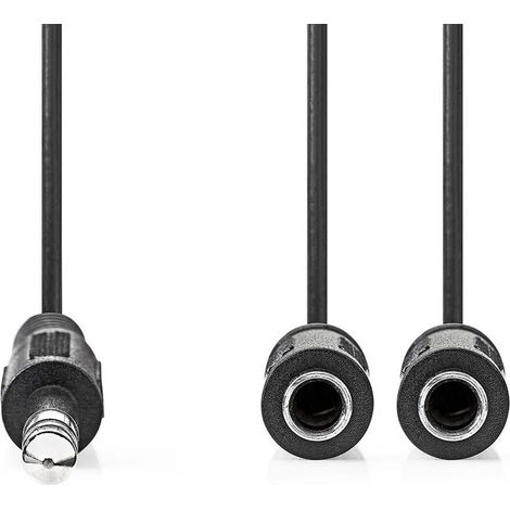 Nedis Stereo-Audiokabel / 6.35 mm Stecker / 2x 6.35 mm Buchse / Vernickelt / 0.20 m / Rund / Box
