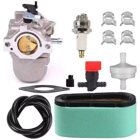 Compatible avec les carburateurs 799728, 498027, 499161, 498231, 494502, 494392 et 496592