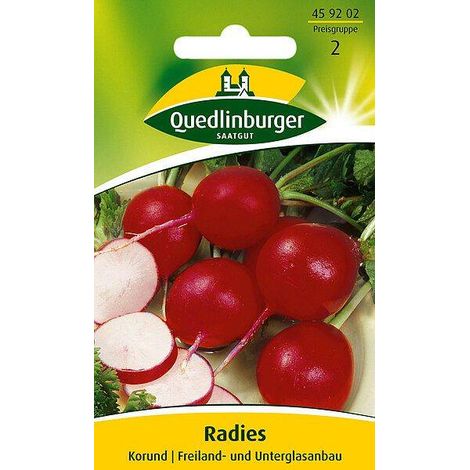 Quedlinburger Radies Korund - Gemüsesamen (1/2)