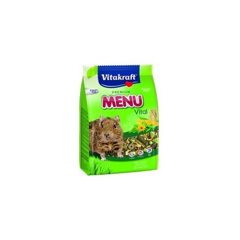 Vitakraft Degus Food - 600g - 618997
