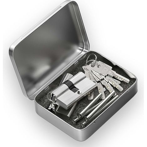 Lot de 2 cylindres de serrure, cylindres profilés 30/30, serrure à cylindre, double cylindre profilé avec 6 clés, cylindres en laiton européen satiné avec finition zinc, trous traversants (1/5)