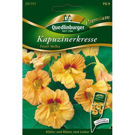 Quedlinburger Kapuzinerkresse Peach Melba - Blumensamen
