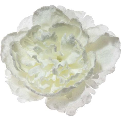 ARPIMEX Pick Peonia Innevata 23 Cm Bianco