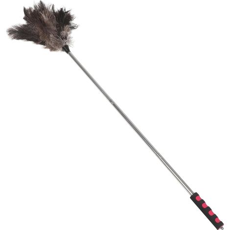 Plumeau à Plumes Extensible avec Manche télescopique dépoussiéreur léger et (1/5)