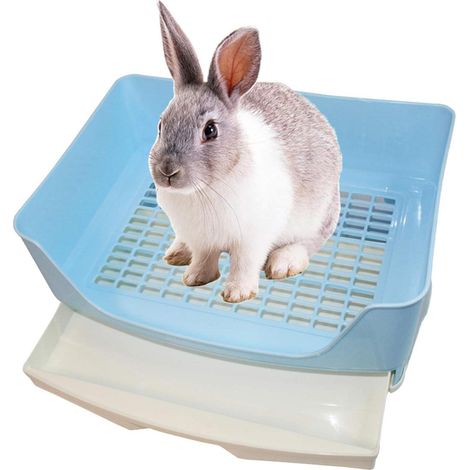 Toilettes pour lapins avec tiroir, toilettes d'angle pour animaux de compagnie, idéales pour l'apprentissage de la propreté. (1/4)