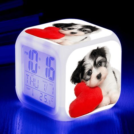 Réveil numérique à motifs d'animaux pour animaux de compagnie (A), avec lumières colorées
