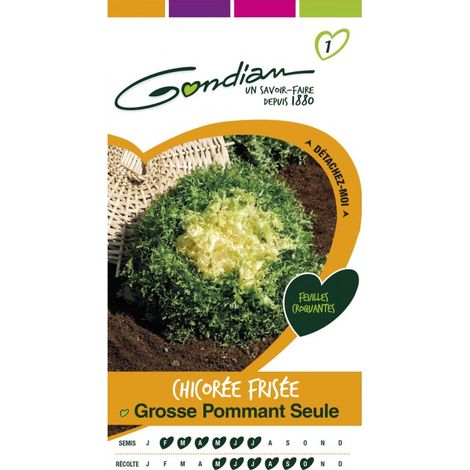 Gondian - Grosse Pommant Seule (1/3)