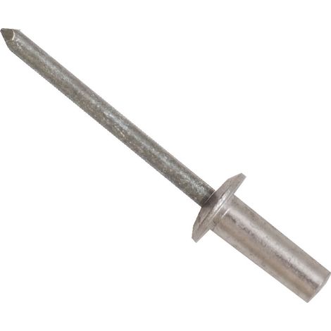 Rivet Gris longueur 6mm diamètre 4mm ( Prix pour Sachet de 100 )