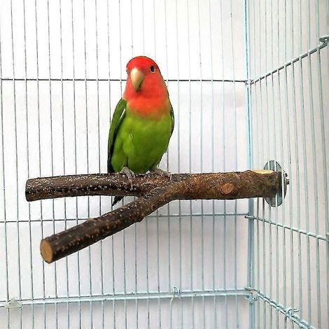 Kleine Vogelstange mit Krallenreinigungsspielzeug für Wellensittiche, Sittiche und Nymphensittiche – Käfigzubehör (1/5)