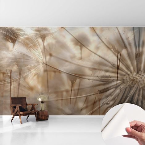 Selbstklebend Tapete modern - Wanddeko für Küche - Klebefolie Wand - luxus Look Zarte Pusteblumen 416x254 cm (1/5)