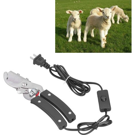Tijeras termoeléctricas para colas – Máquina de corte termoeléctrica para lechones, ovejas y bovinos – Dispositivo veterinario de acero inoxidable – 21,5 x 4,5 cm – 350 g (1/5)