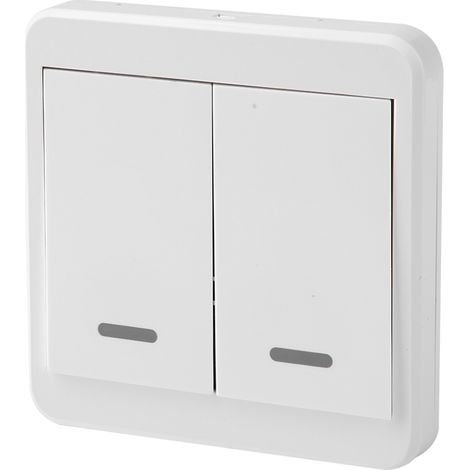 Interrupteur sans fil 2 canaux 86 AC avec télécommande, 110-220V, émetteur récepteur pour maison intelligente (1/5)