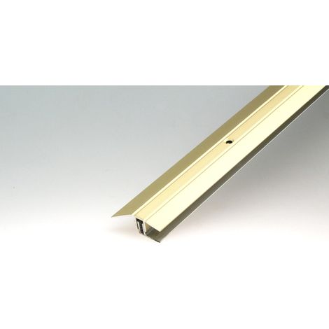 PLP-Set Ausgleichprofil Alu sand 48 mm x 100cm