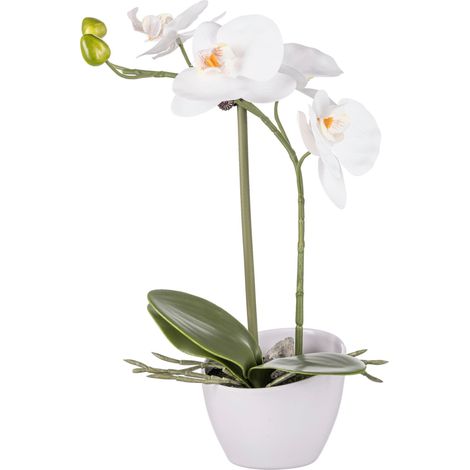 Mömax Kunstpflanze Orchidee II Grün (1/2)