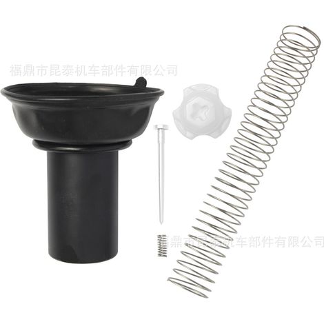 Motorradvergaser-Reparatursatz (30 mm Kolben) für CBX250 Twister XR250 Tornado (1/5)