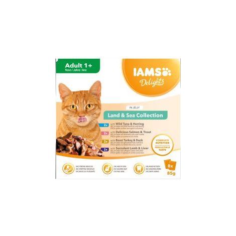 Iams Delights Adult Cat Land & Sea Collection in Jelly 8pk - 85g - 817403