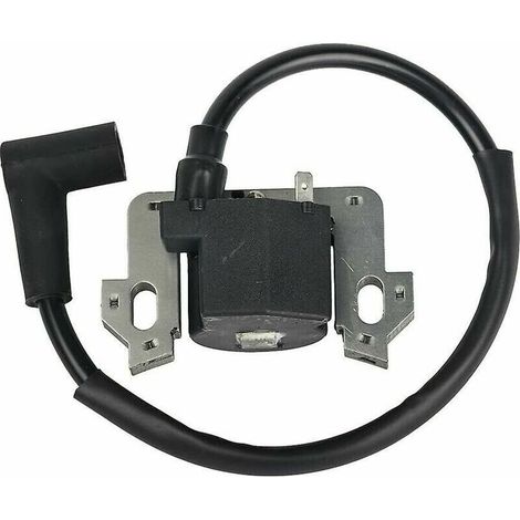 Bobine d'allumage compatible GCV135 GCV160 GCV190 GSV160 – Démarrage efficace – Pour moteurs thermiques – Installation simple (1/4)