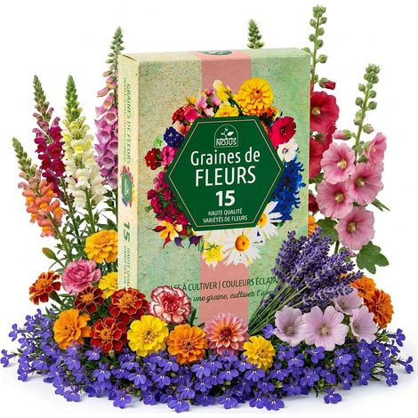 Collection de graines de fleurs inspirées de la RHS - 15 variétés de fleurs de jardin, polyvalentes et respectueuses des abeilles (1/5)