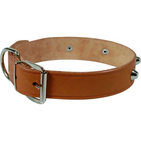 Collare per cani cuoio extra naturale finta cucitura con borchie - Specifiche: cm 51x2,5 cuoio naturale - 6 pz
