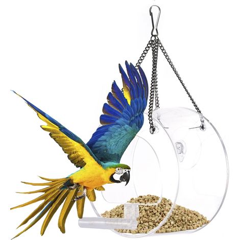 Décorations pour mangeoire à oiseaux ronde, support mural, fenêtre en verre transparent, grand plateau avec ventouses (1/5)