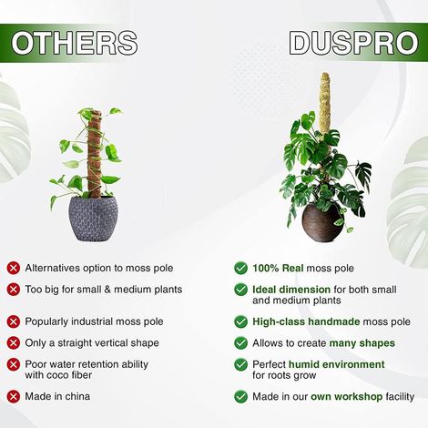 1 pièce Tuteur Mousse Naturel pour Monstera, Support Plante Grimpante Intérieur Flexible pour Pothos et Plantes en Pot (1/5)