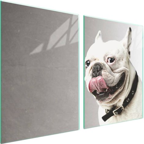 Plaque de protection en verre pour poêle 2x45x52 Chien (1/5)