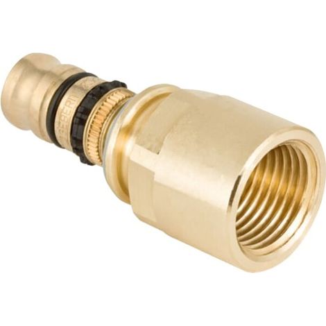 Geberit 607561005 Raccord Mepla avec filet intérieur Rg d63-Rp2 1/2 (1/4)