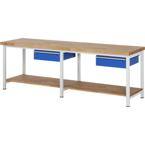 Rau Werkbank Modell 8001 mit Ablageboden BxTxH 2500x700x840mm (1/5)